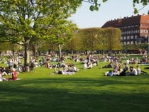 Picnic in the King's Garden (Kongens Have)