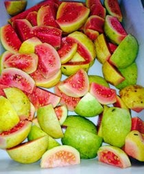 Guava Season