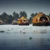 Best time to visit Kerala