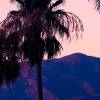 Best time to visit Palm Springs, CA