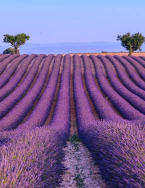 Beste Reisezeit Provence & Côte d'Azur
